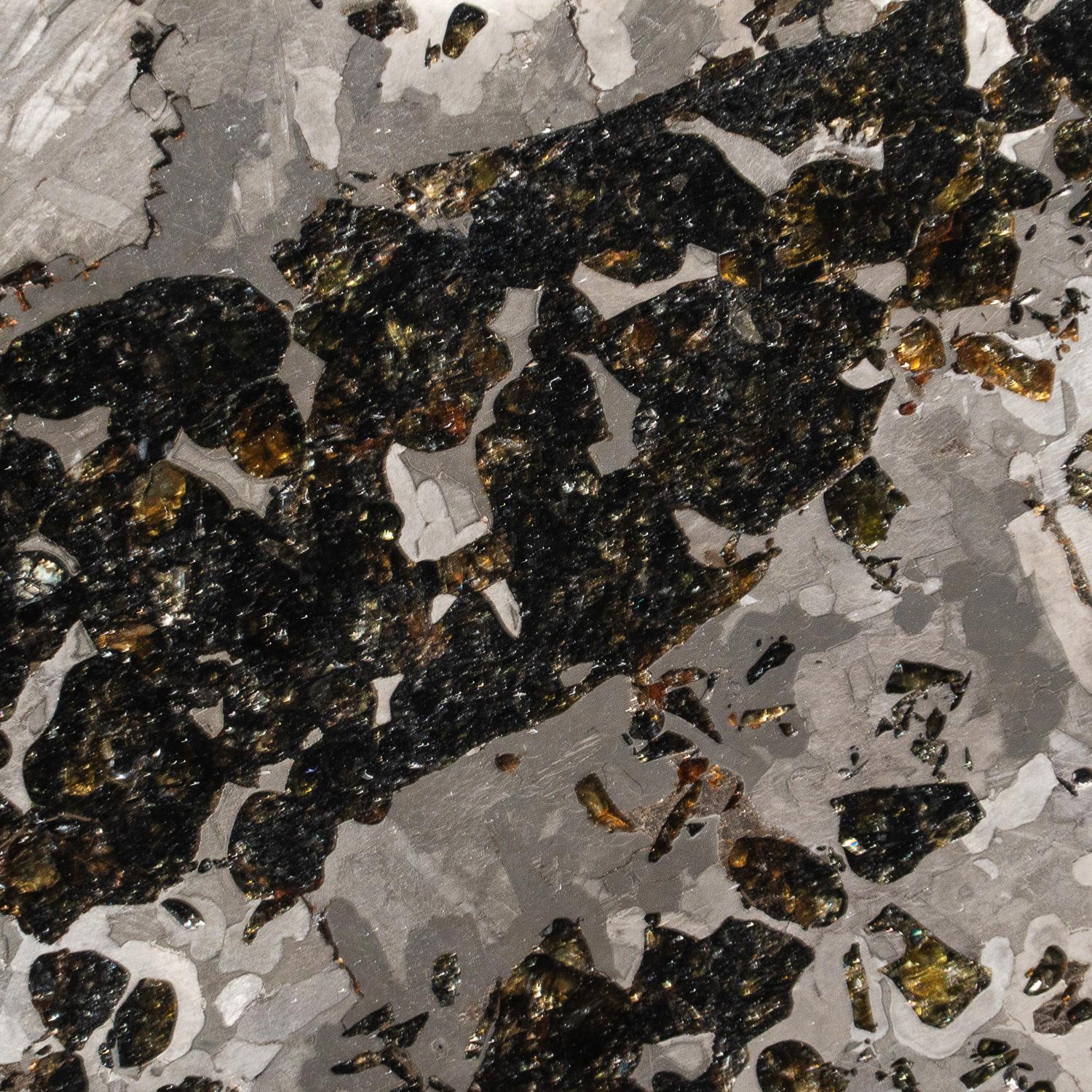 Echte Seymchan Pallasit Meteoritenplatte (1,5 lbs) (Sonstiges) im Angebot