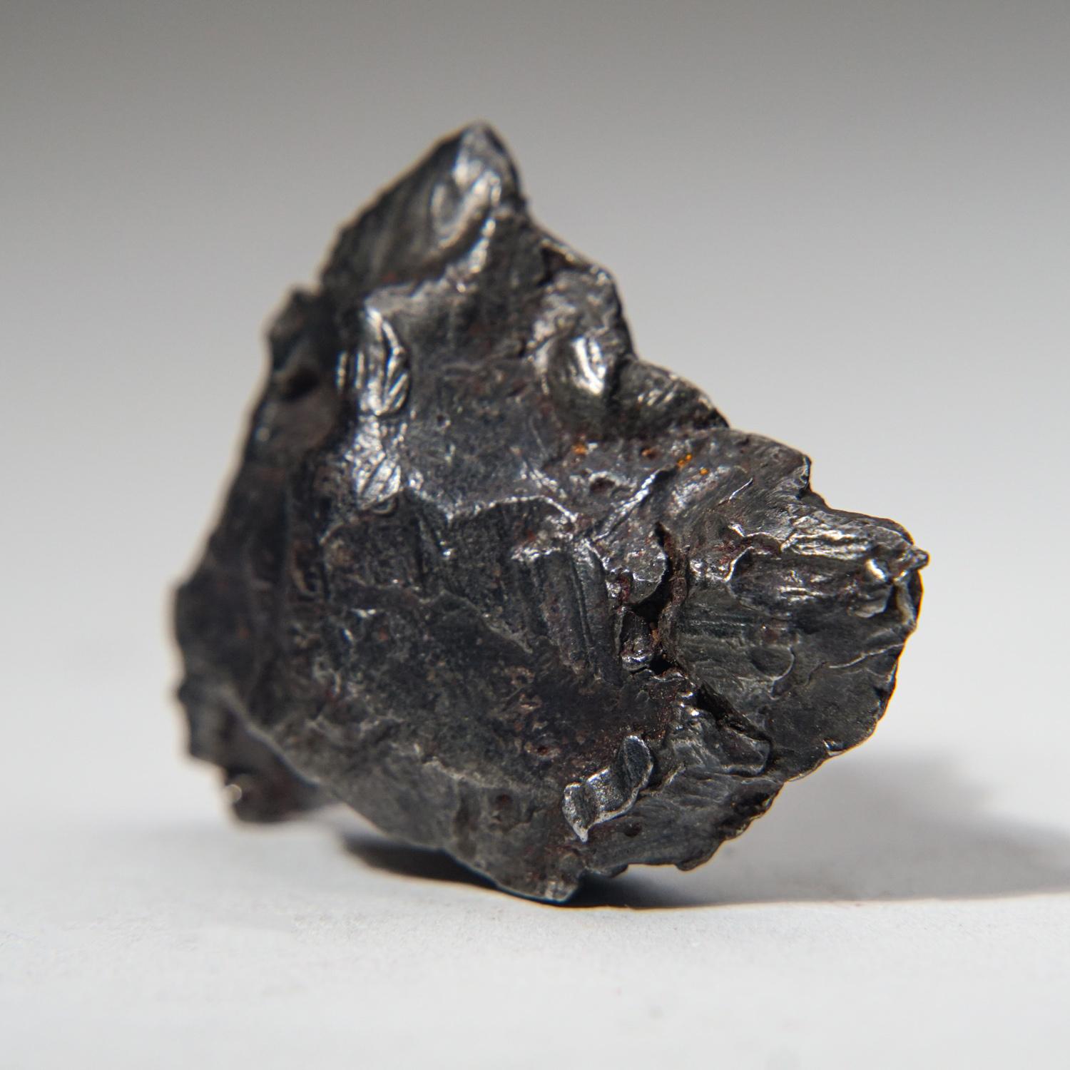 Russo Meteorite autentica di Sikhote-Alin su supporto acrilico (87.7 grammi) in vendita