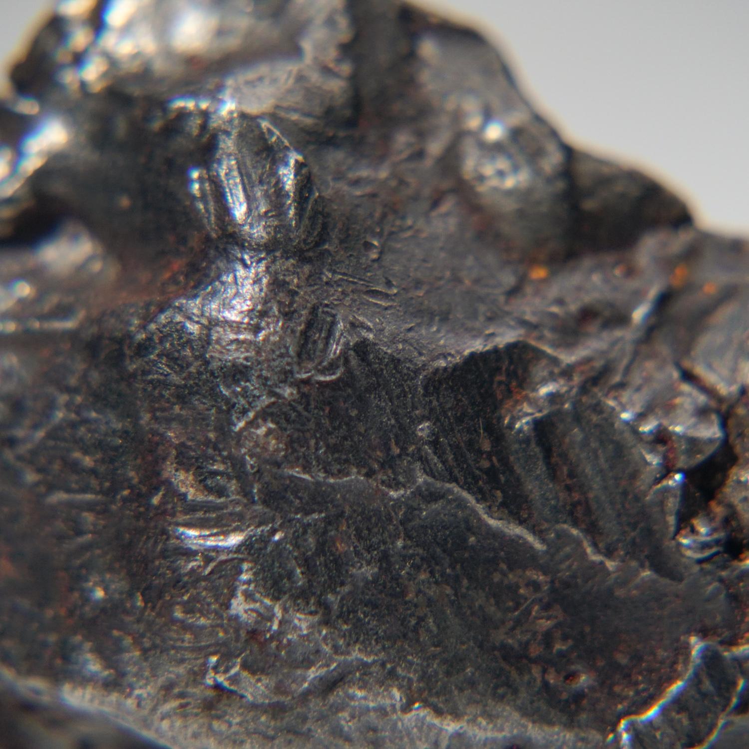 Véritable météorite Sikhote-Alin sur Stand Acrylique (87.7 grammes) Neuf - En vente à New York, NY