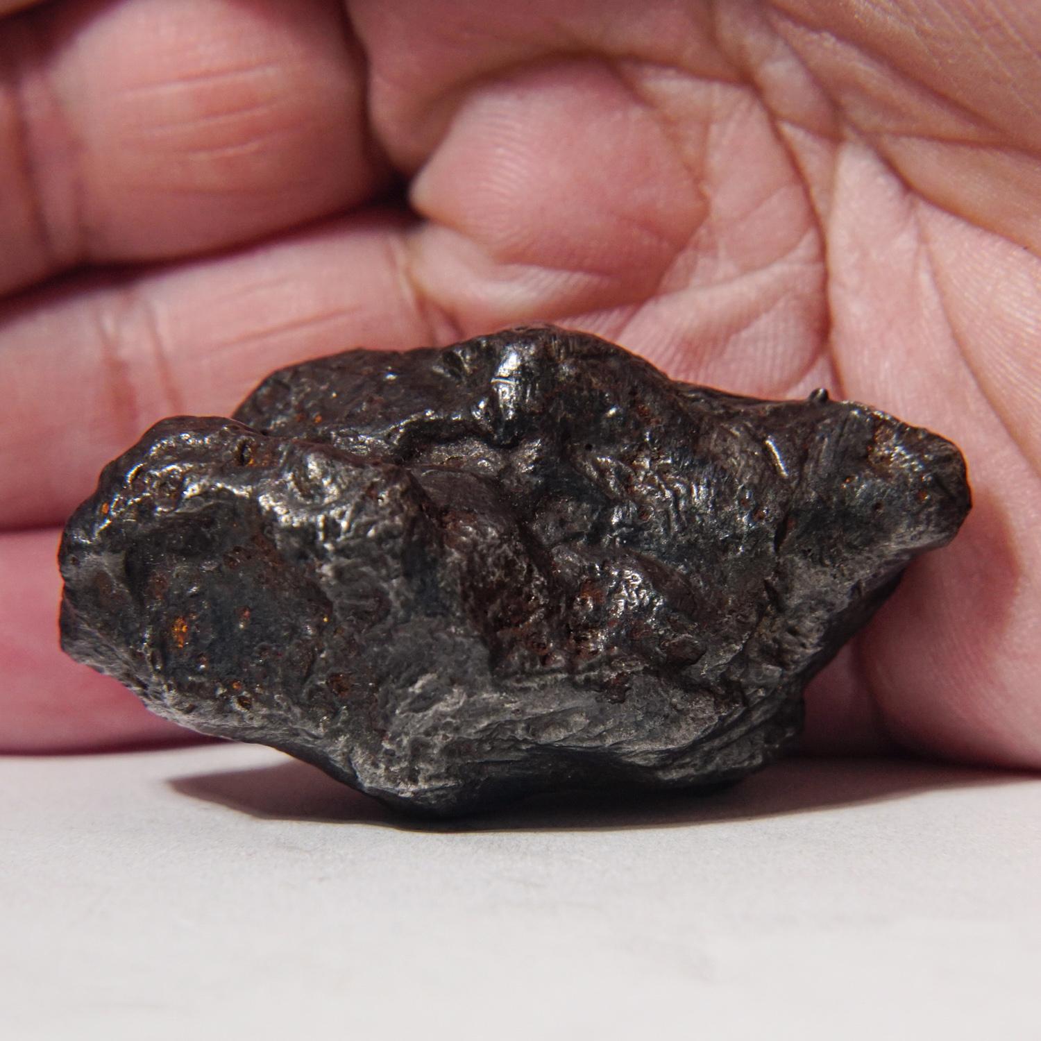 Russo Meteorite autentica di Sikhote-Alin su supporto acrilico (99,5 grammi) in vendita