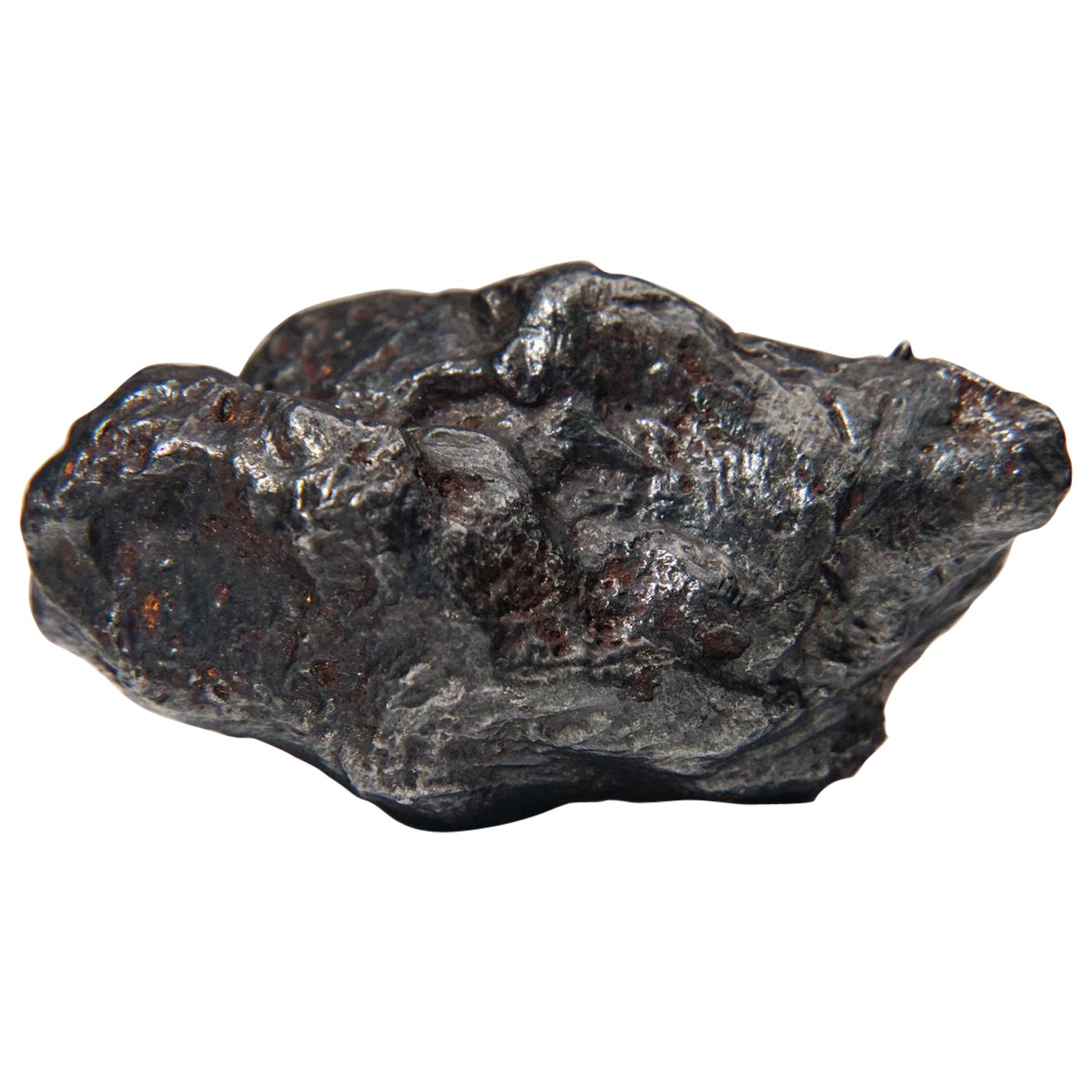 Meteorito Sikhote-Alin auténtico en soporte acrílico (99,5 gramos)