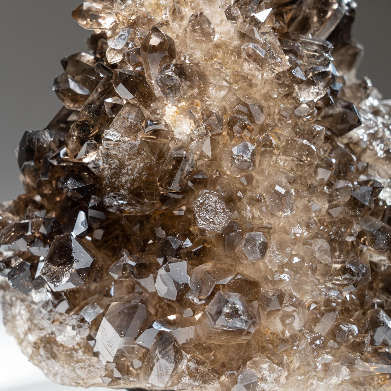 Genuine Smoky Quartz Crystal Cluster from Mina Gerais, Brazil (6.4 lbs) In New Condition For Sale In New York, NY