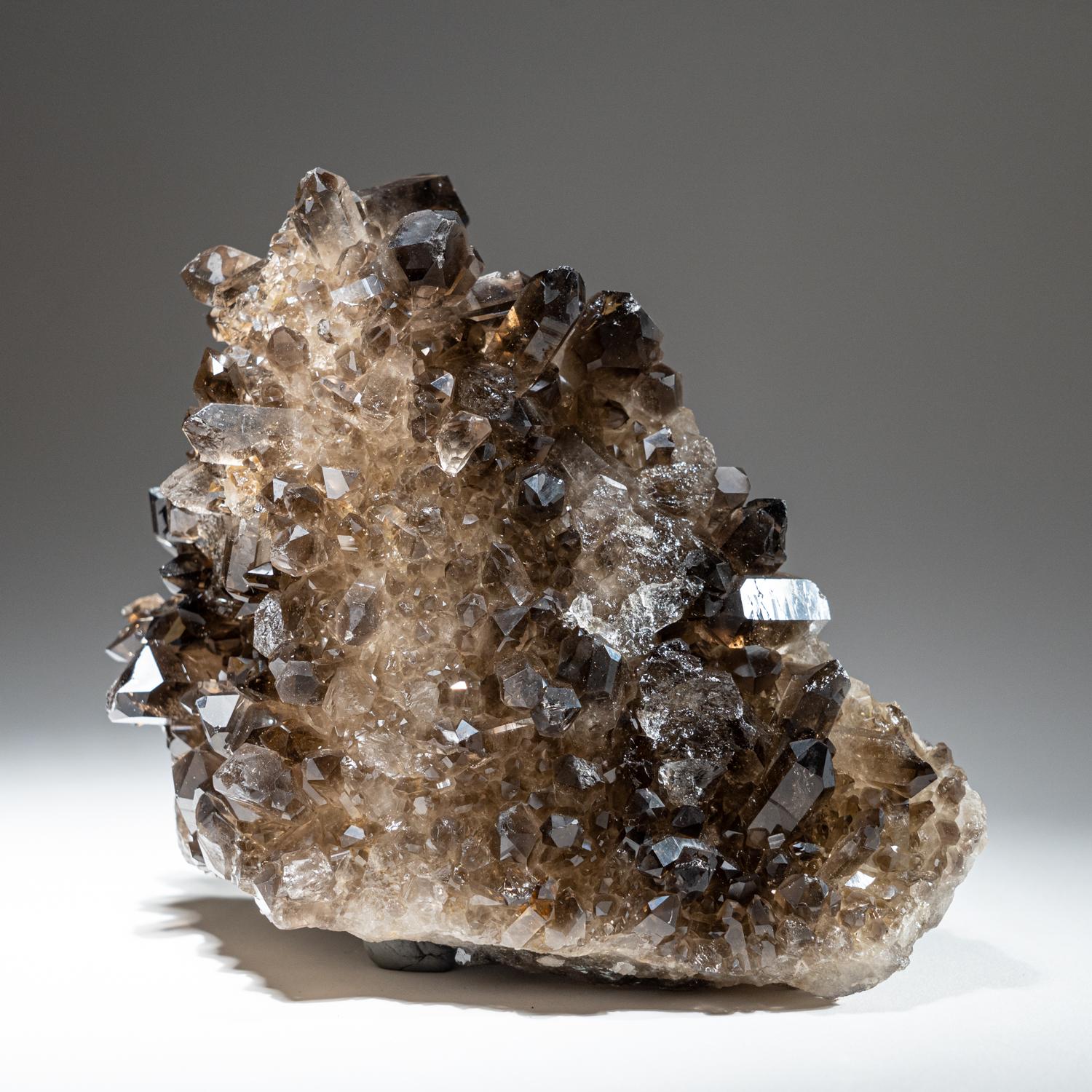 Genuine Smoky Quartz Crystal Cluster from Mina Gerais, Brazil (6.4 lbs) For Sale 1