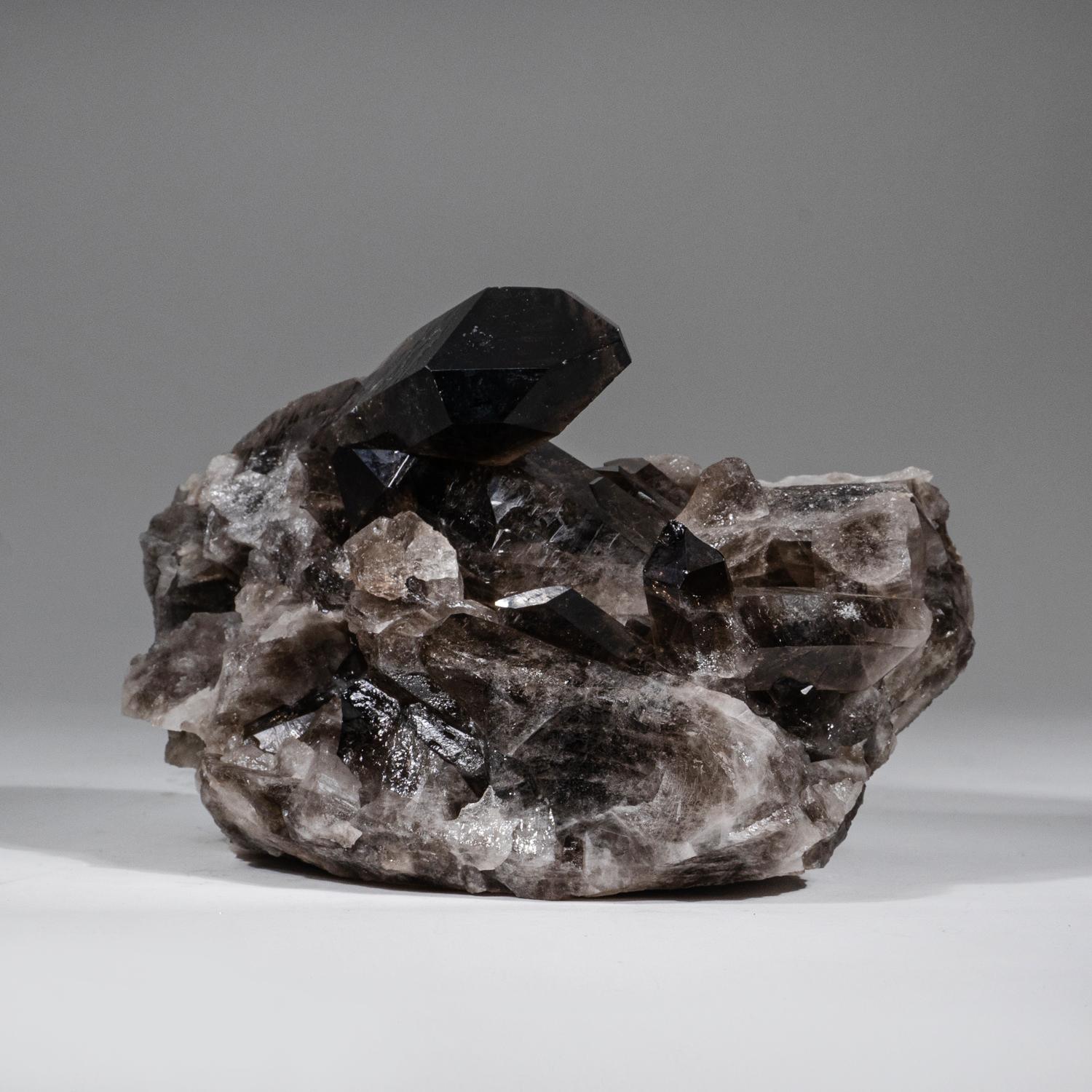 Genuine Smoky Quartz Crystal Cluster from Mina Gerais, Brazil (8.2 lbs) In New Condition For Sale In New York, NY