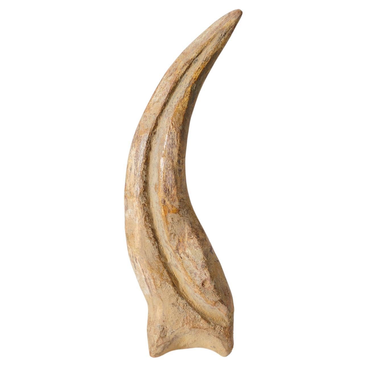 Genuine Spinosaurus Claw in Display Case (129.4 grams) For Sale
