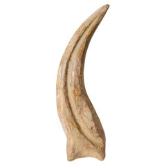 Garra auténtica de espinosaurio en vitrina (129.4 gramos)