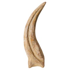 Used Genuine Spinosaurus Claw in Display Case (129.4 grams)