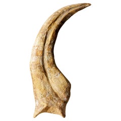 Genuine Spinosaurus Claw in Display Case (190.5 grams)