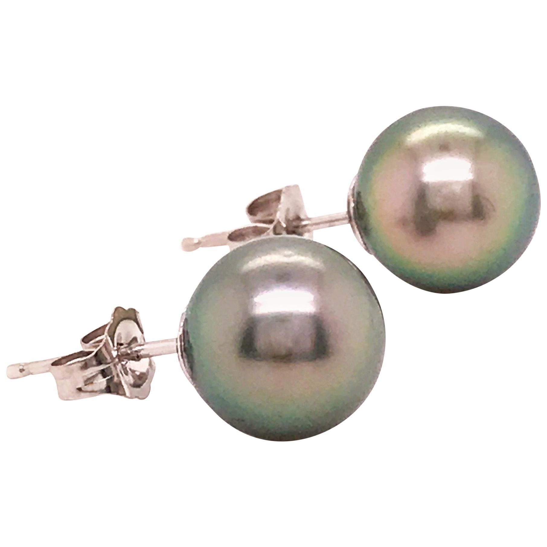 Genuine Tahitian Pearl Stud Earrings, Peacock Color in 14 Karat White Gold For Sale