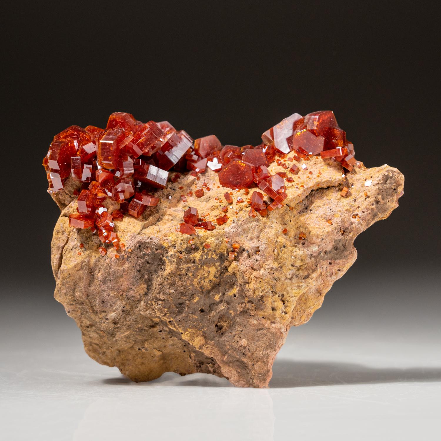 From Mibladen, Atlas Mountains, Khénifra Province, Morocco 

An exceptional world-class cluster of hexagonal brick-red Vanadinite crystals with glassy luster on limonite matrix.  These large well-defined and undamaged crystals, are fully terminated