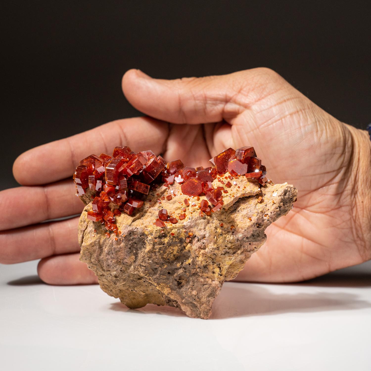 Moroccan Genuine Vanadinite Crystal Cluster on Matrix from Morocco (183.4 grams) For Sale