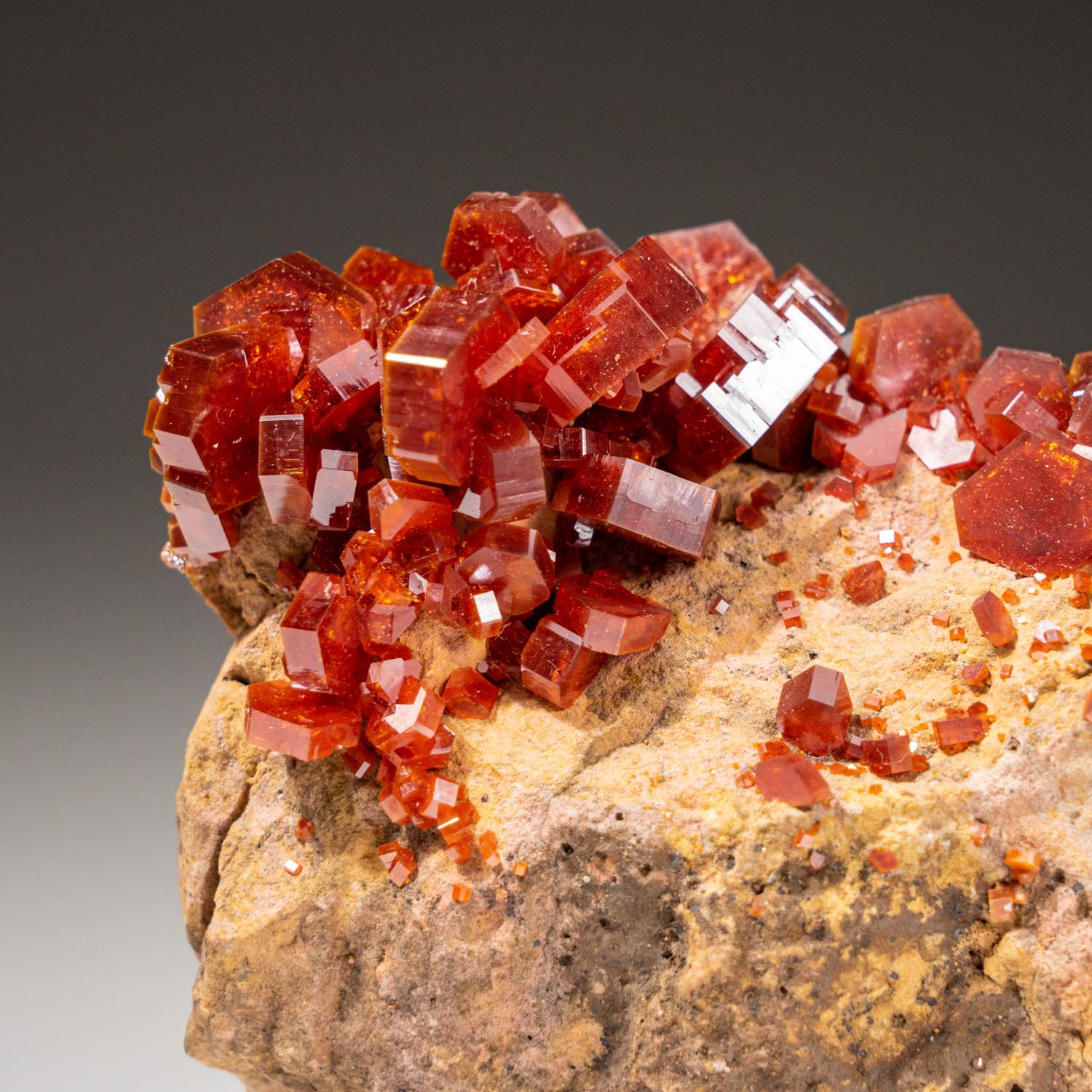 Moroccan Genuine Vanadinite Crystal Cluster on Matrix from Morocco (202.9 grams) For Sale