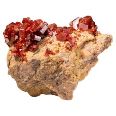 Cluster de cristal Vanadinite véritable sur matrice du Maroc (202.9 grammes)