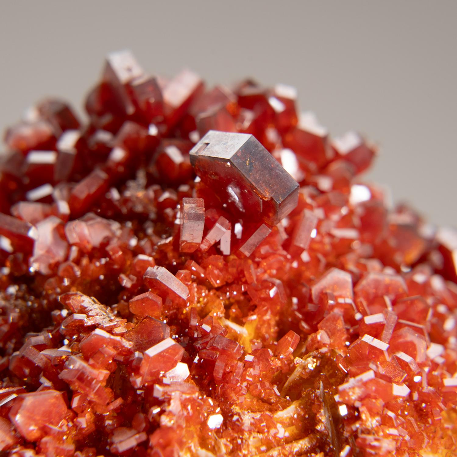 De Mibladen, montagnes de l'Atlas, province de Khénifra, Maroc 

Exceptionnel amas de cristaux hexagonaux de vanadinite rouge brique à l'éclat vitreux sur une matrice de limonite.  Ces grands cristaux bien définis et intacts sont entièrement