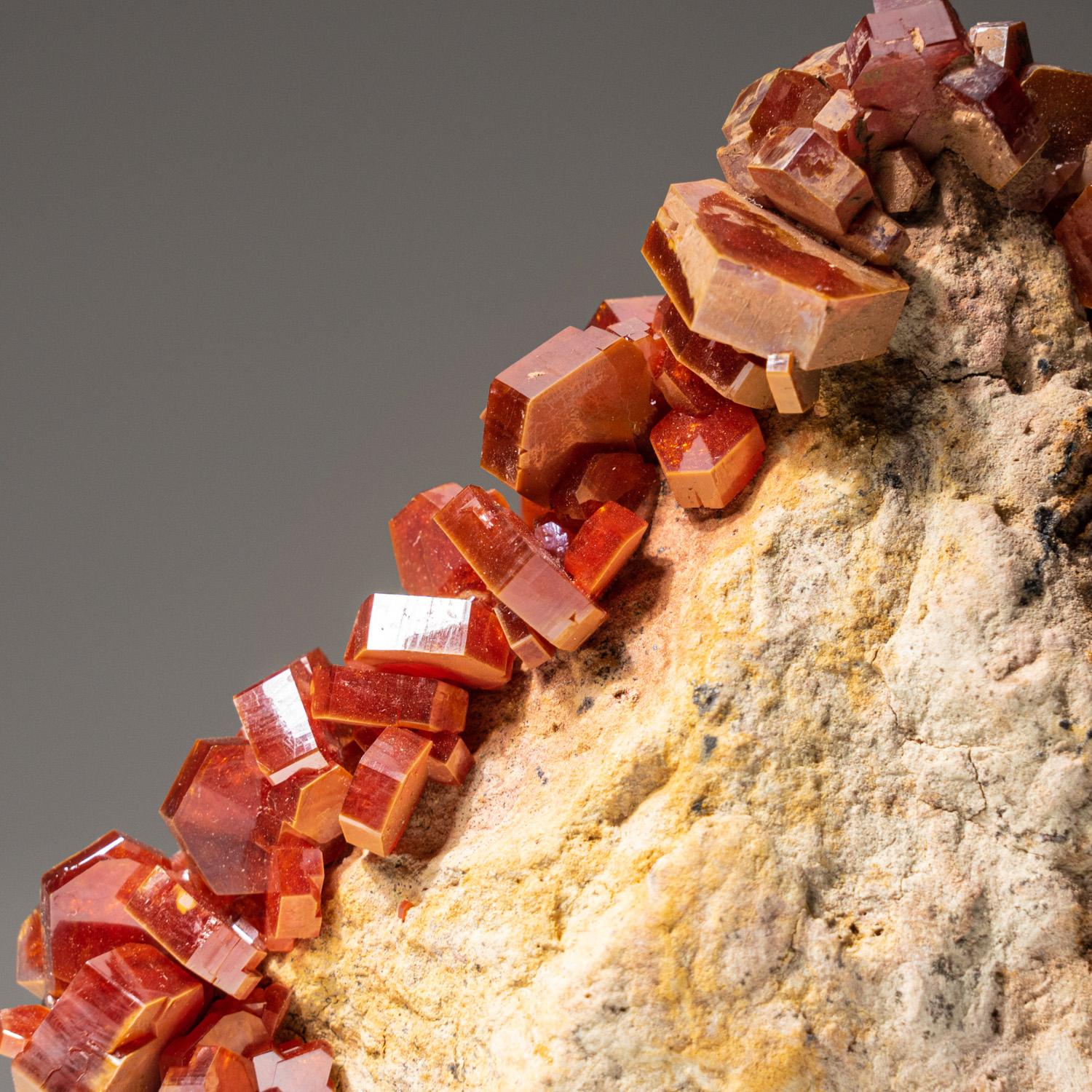 De Matrix, montagnes de l'Atlas, province de Khénifra, Maroc Un groupe exceptionnel de classe mondiale de cristaux hexagonaux de vanadinite rouge brique avec un éclat vitreux sur une matrice de limonite. Ces grands cristaux bien définis et intacts