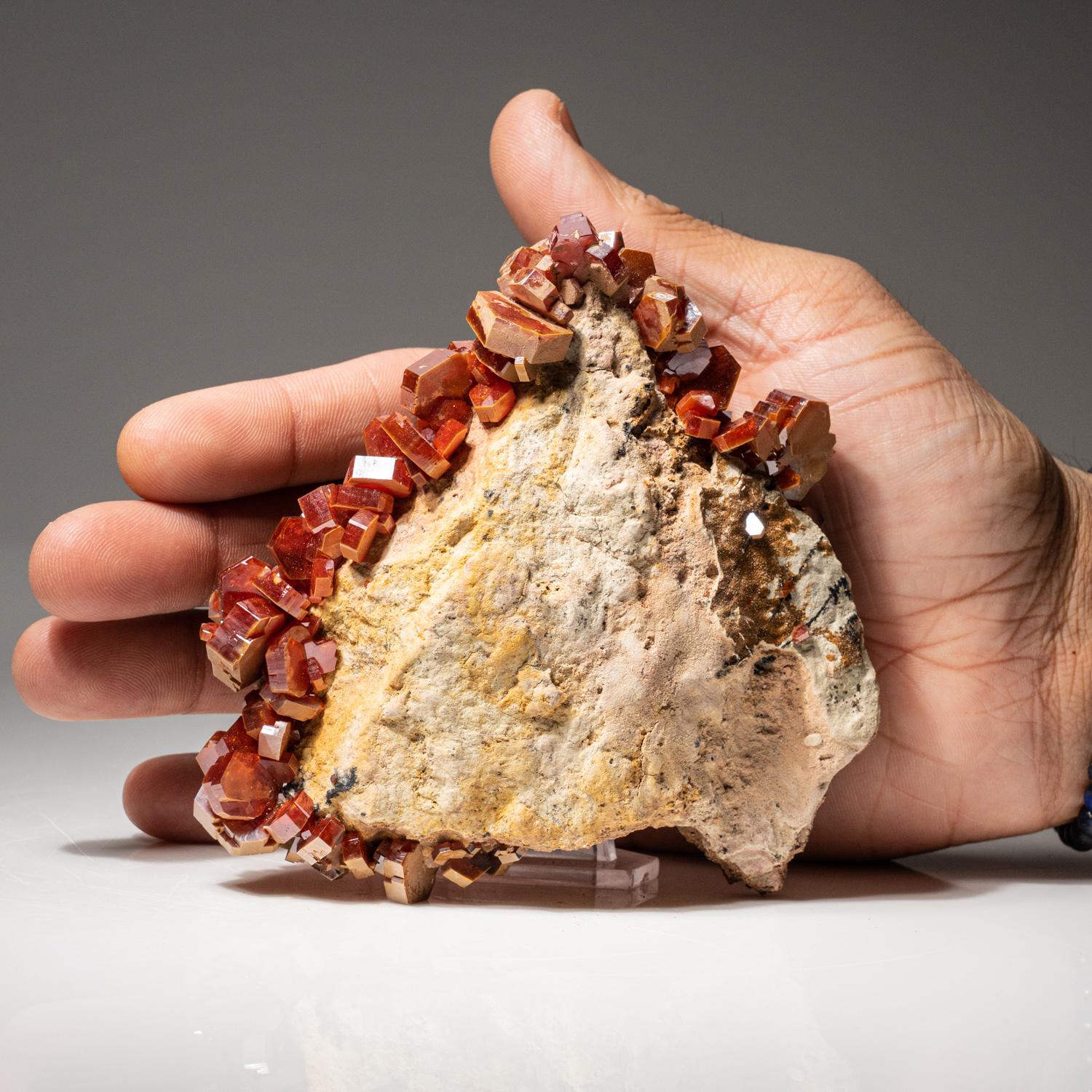 Genuine Vanadinite Crystal Cluster on Matrix from Morocco (410.7 grams) In New Condition For Sale In New York, NY