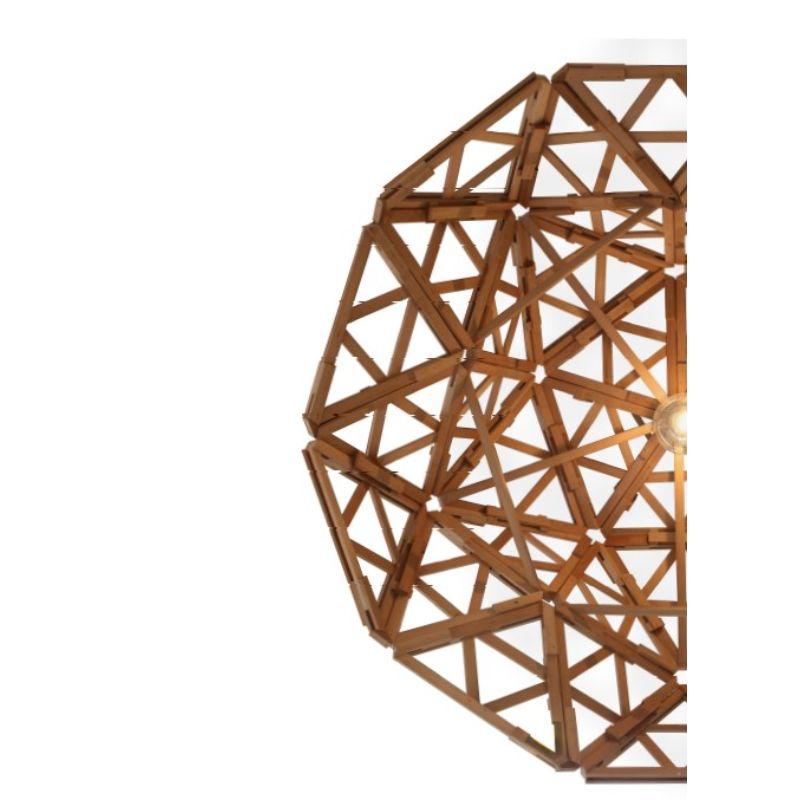 Contemporary Geodesic Pendant Light, Half Globe by Paul Heijnen