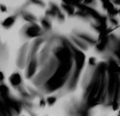 FLOW Beacon Hill Triptych 3 part Digital drawing, Photograph, Archival Ink Jet