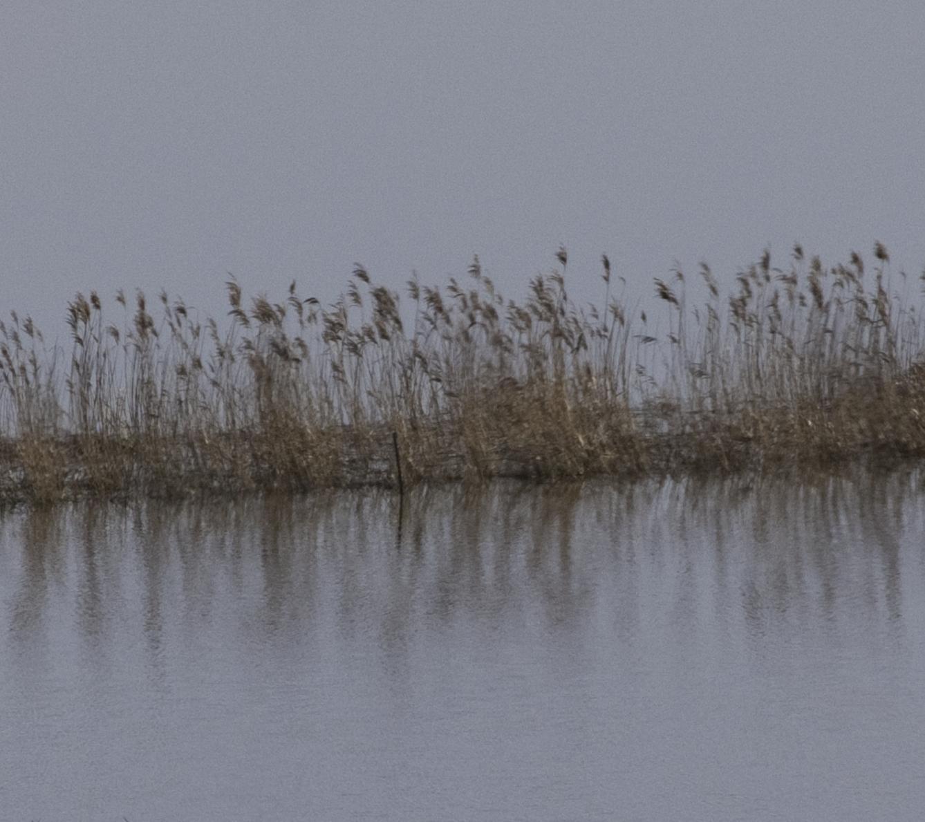 FLOW Flood 143, Fotografia, getto d'inchiostro d'archivio - Photograph di Geoff Dunlop