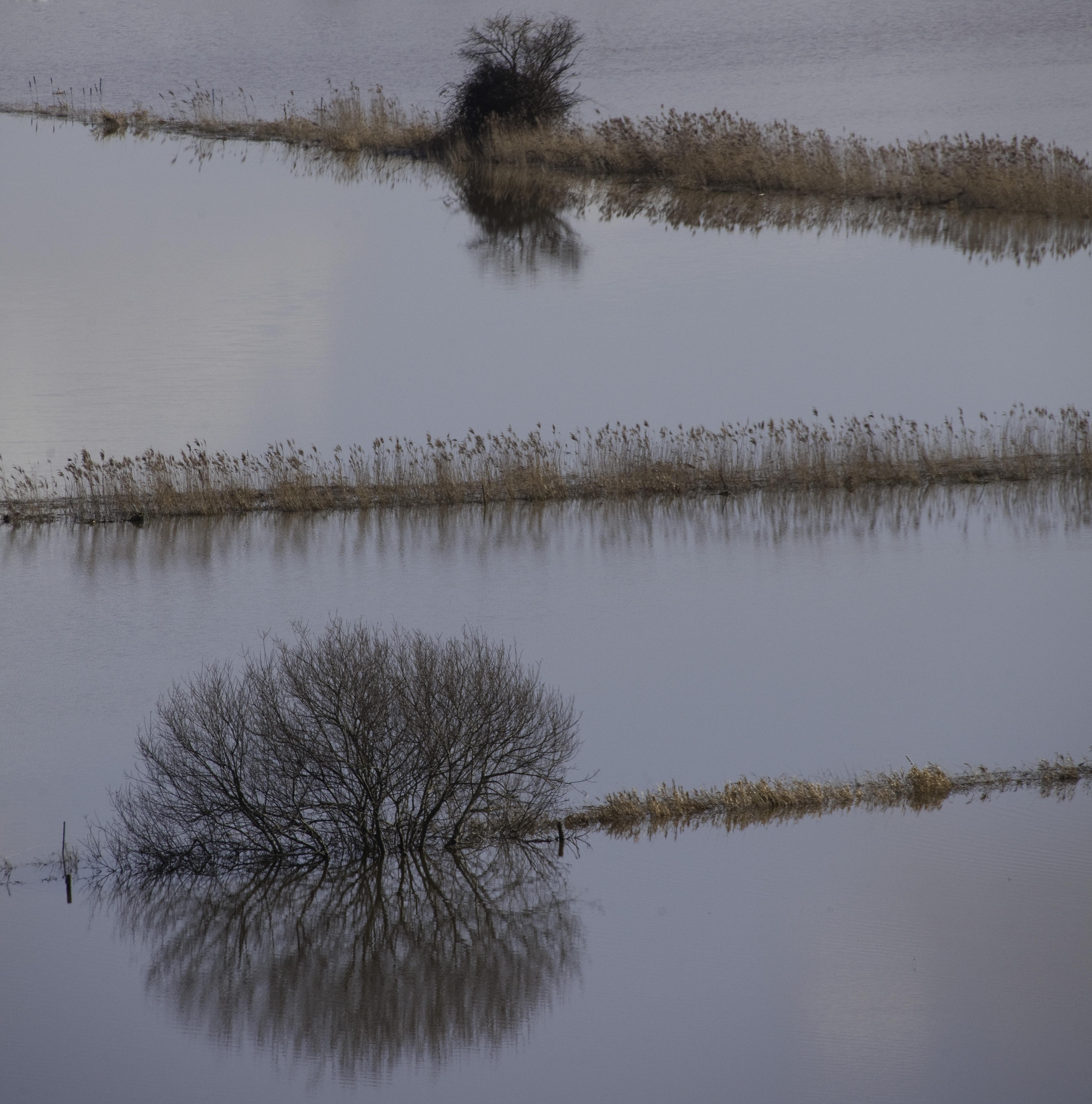 FLOW Flood 143, Fotografia, getto d'inchiostro d'archivio - Photograph Altro stile artistico di Geoff Dunlop