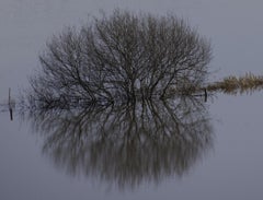FLOW Flood 143, Fotografia, getto d'inchiostro d'archivio