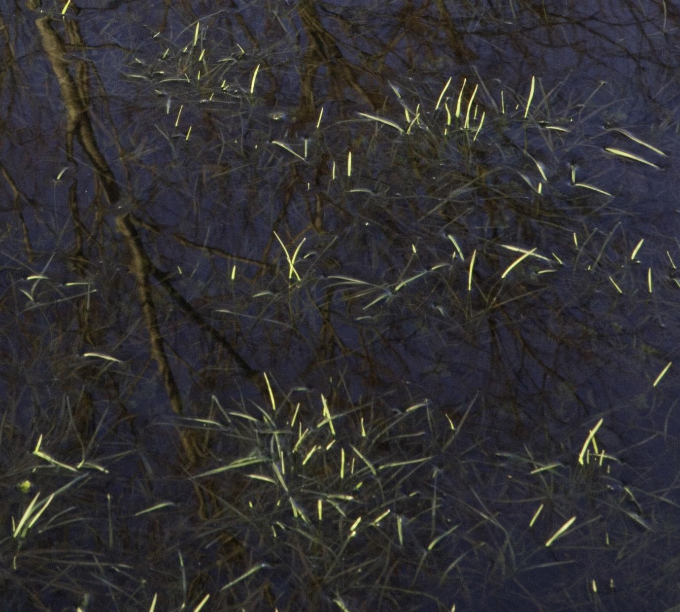 Where I live, in South-West England, the rivers break their banks each winter. This is why the county is called Somerset - the Settlement of the Summer People. During winter, in generations past, these low lands  were uninhabitable. They were always