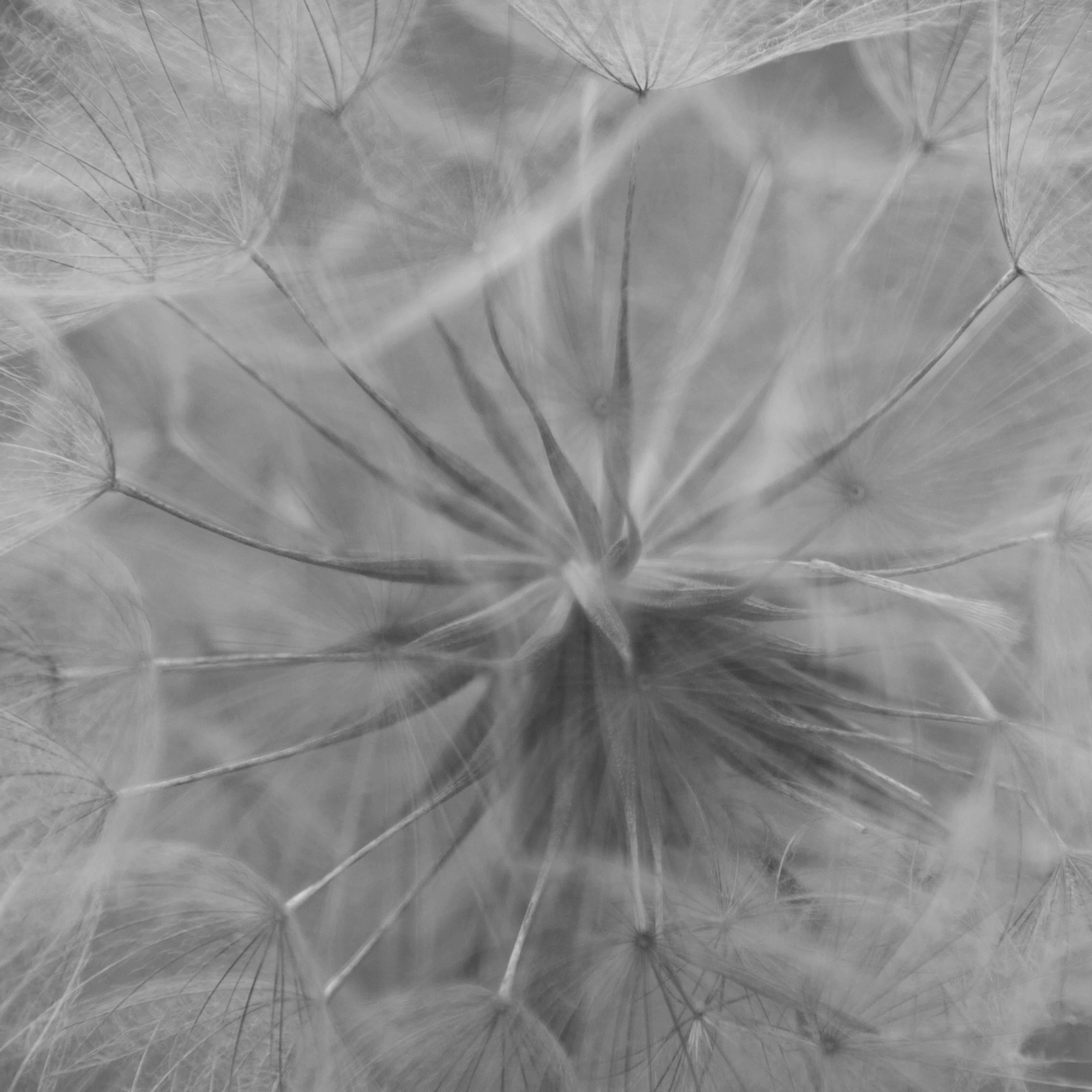 Geoff Dunlop Black and White Photograph – FLOW Horrington Triptychon 5 Digitale Zeichnung, Fotografie, Archivtinte Jet
