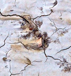 FLOW Ibiza dry 60, Photograph, C-Type