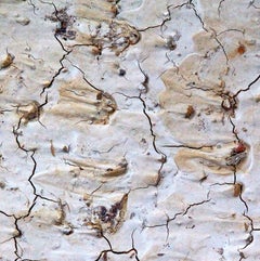 FLOW Ibiza dry 60, fotografia, C-Type