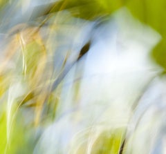 FLOW Zephyr 1, Photograph, Archival Ink Jet