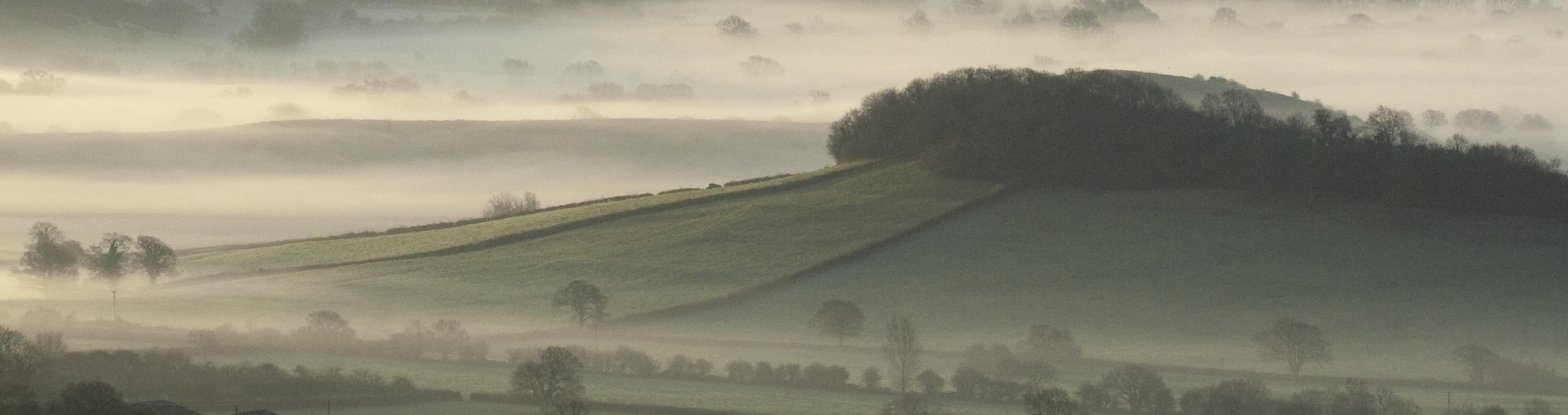 Misty Tor from House Grounds, Photograph, Archival Ink Jet For Sale 2