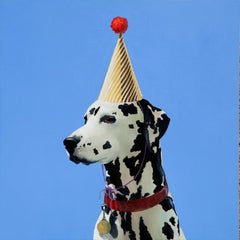 "Dalmation Portrait"