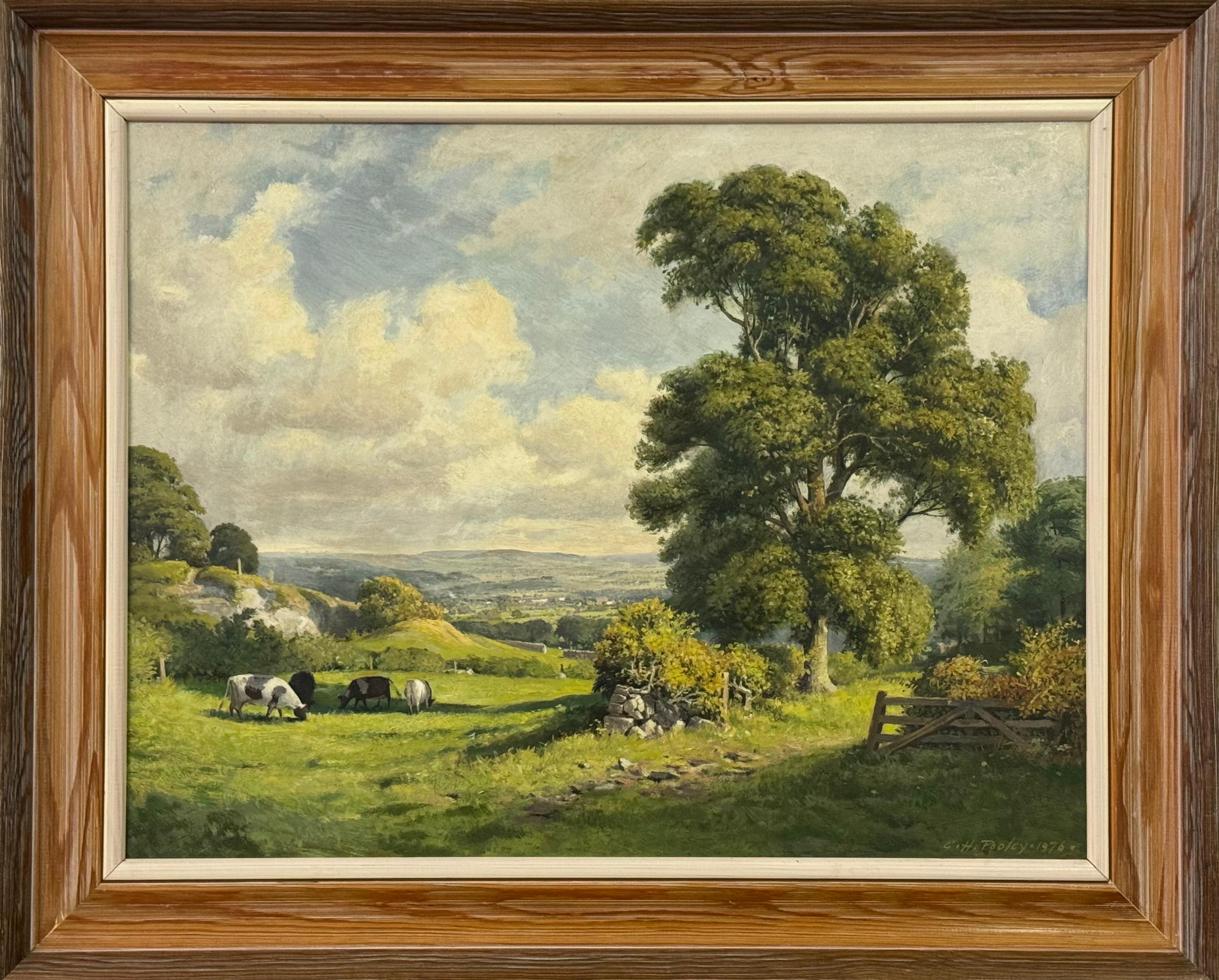 Üppige grüne ländliche englische Landschaft Szene mit Rindern, Feldern und alten Bäumen