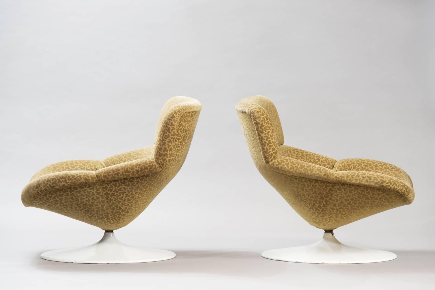 Set of two model F 518 swivel lounge chairs, with white tulip base.