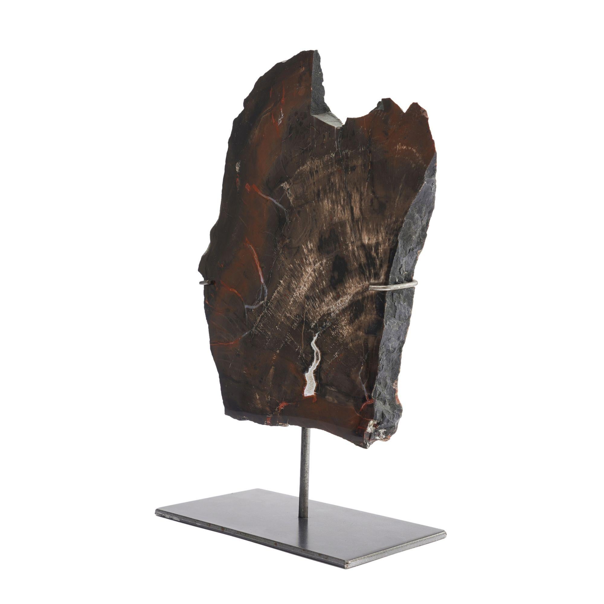Slice cut and polished geological specimen of Southwestern American petrified wood.