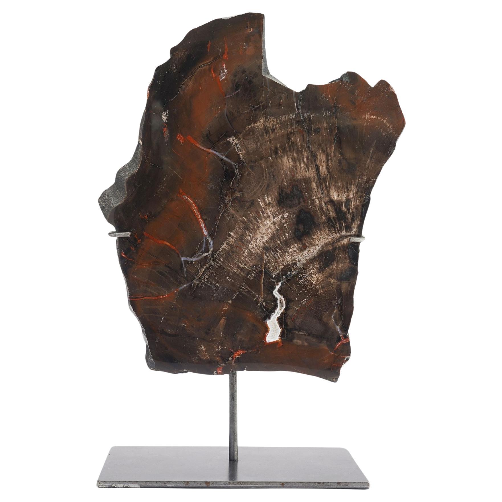 Geological specimen of Southwestern American petrified wood on stand For Sale