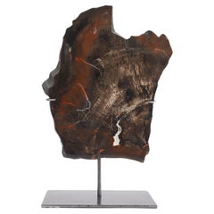 Geological specimen of Southwestern American petrified wood on stand