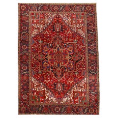 Geometric and Floral Design Wool Antique Rug - 19th Century