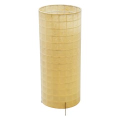 Geometric Danish 1950s floor lamp with cocoon plastic, Denmark, 1950s