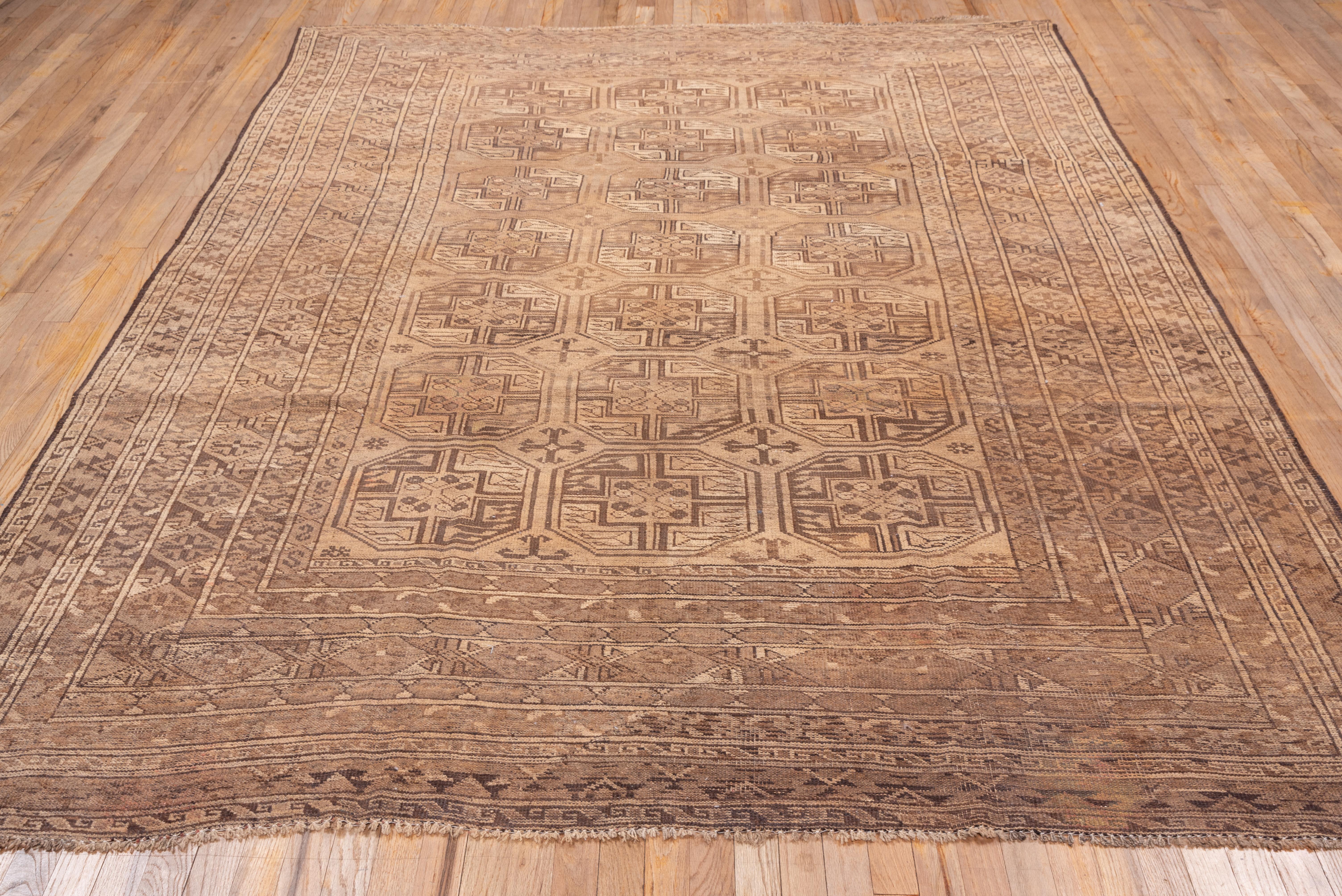 Tribal Geometric Gentlemens Turkomen Carpet, Light Brown Field For Sale