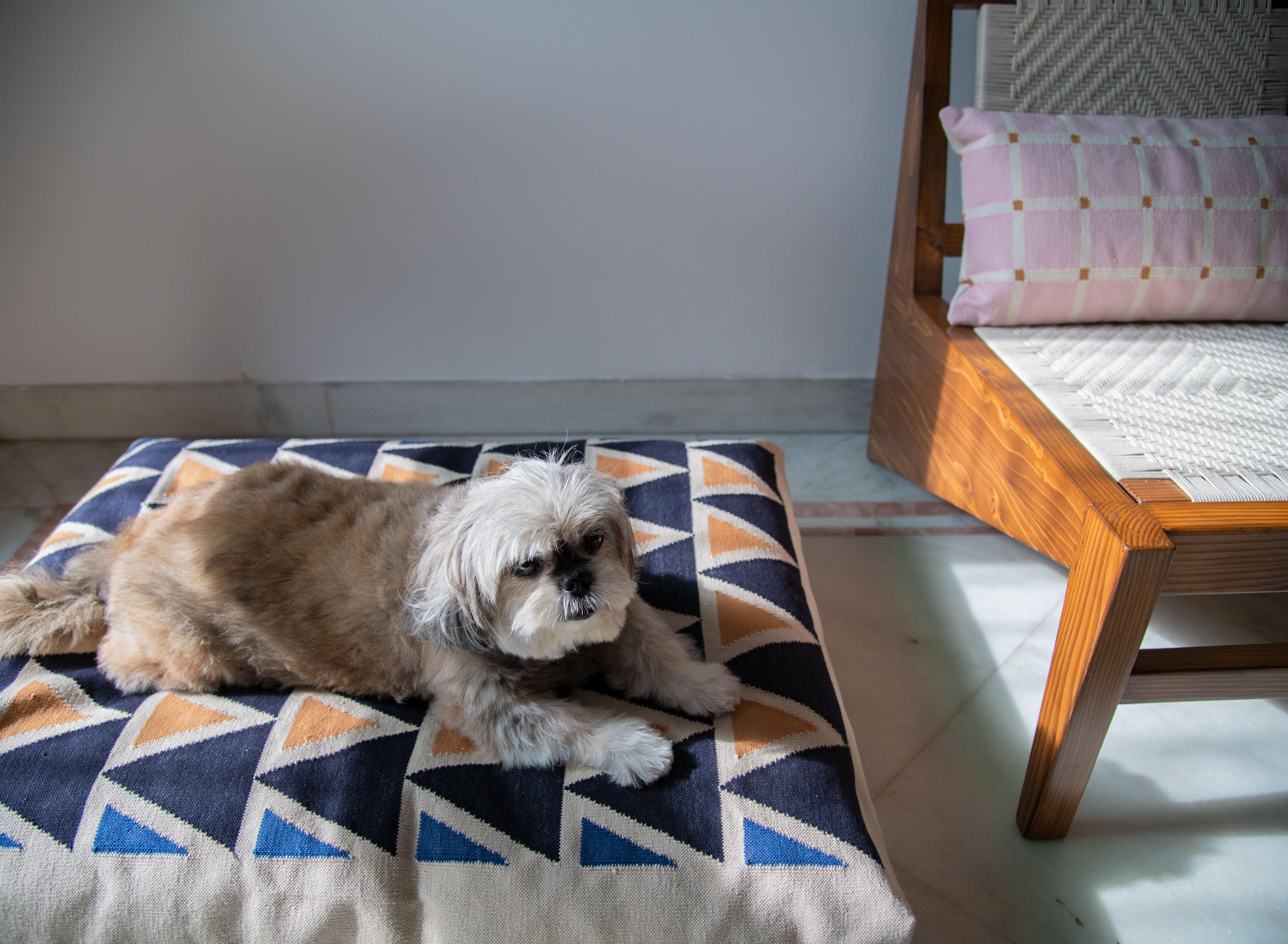 Hand-Woven Geometric Maya Triangles Dog Bed For Sale