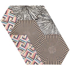 Ceramic Ceramics