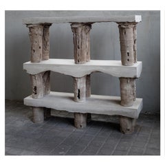 Geomorphic Bookshelf by Christian Zahr