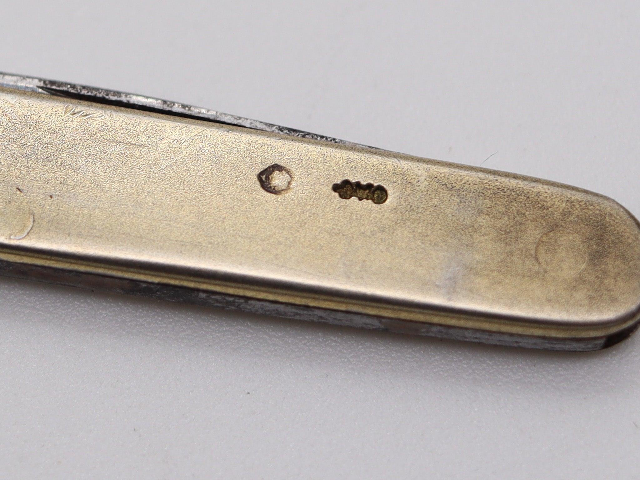 GEORG ADAM SCHEID 1900 Enameled Guilloche Etui Necessaire box In .800 Silver For Sale 5