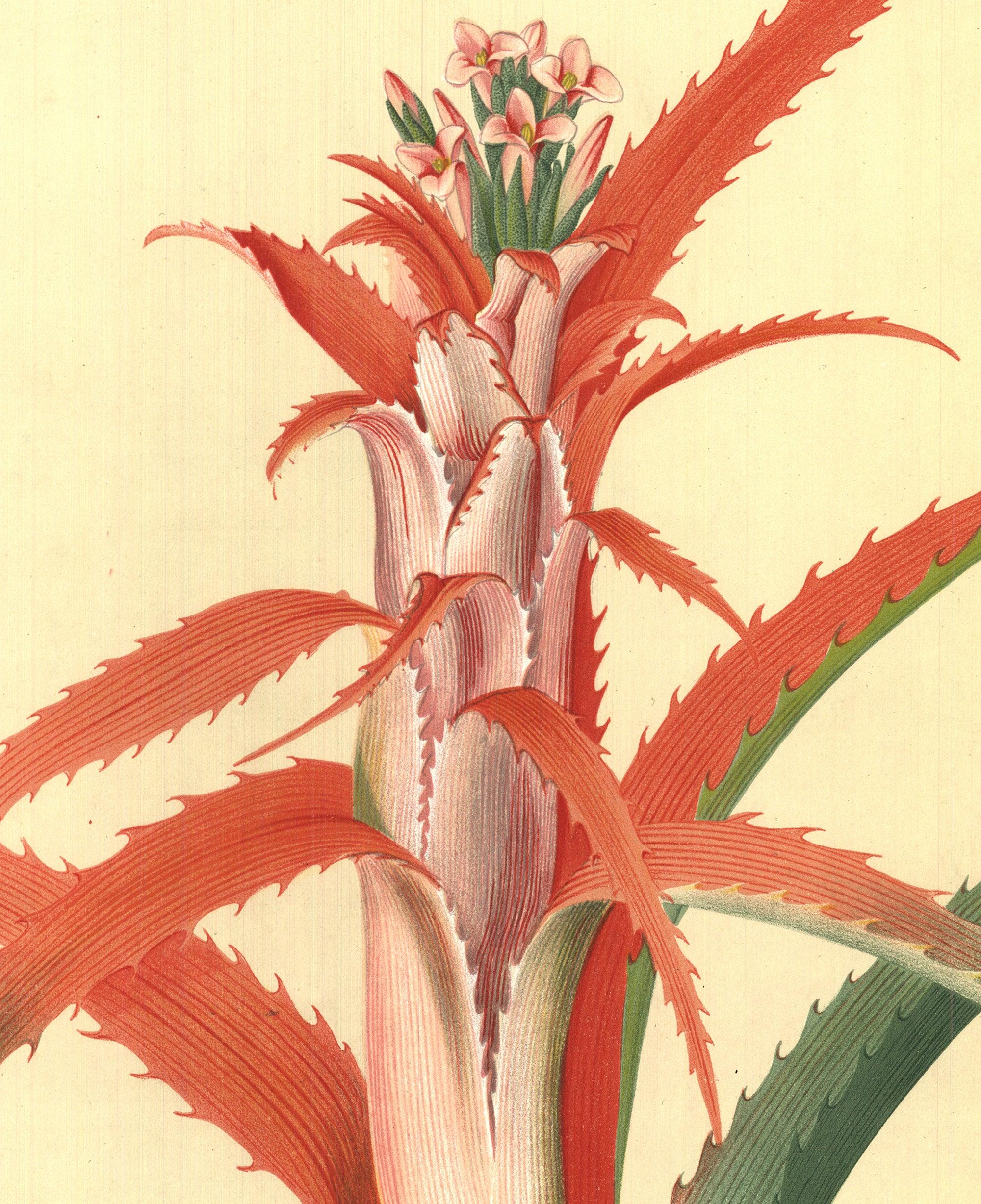 Flower Books and Paintings from the Plesch Botanical Foundation' 1958 For Sale 1