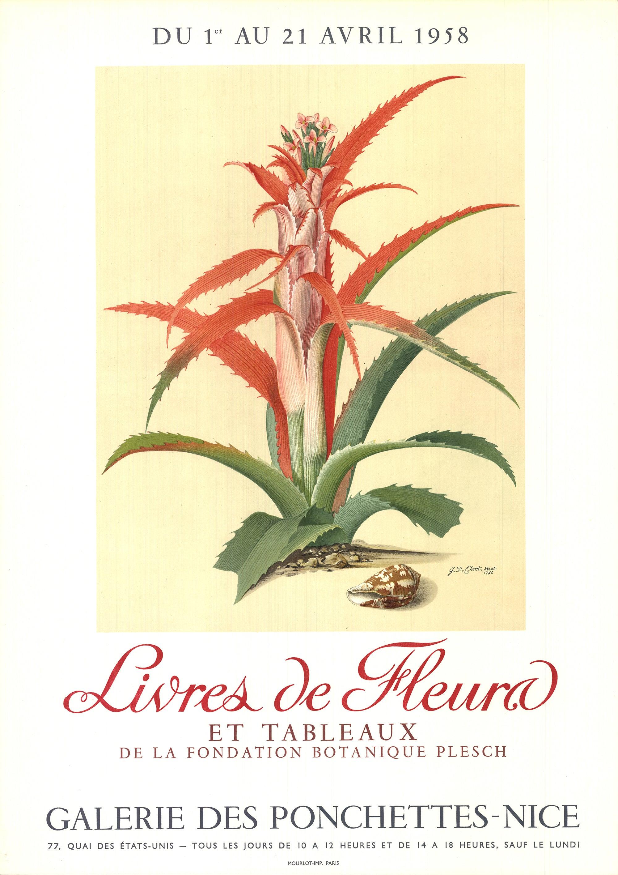 Flower Books and Paintings from the Plesch Botanical Foundation' 1958 - Print by Georg Dionysius Ehret