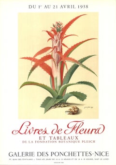 Flower Books and Paintings from the Plesch Botanical Foundation' 1958