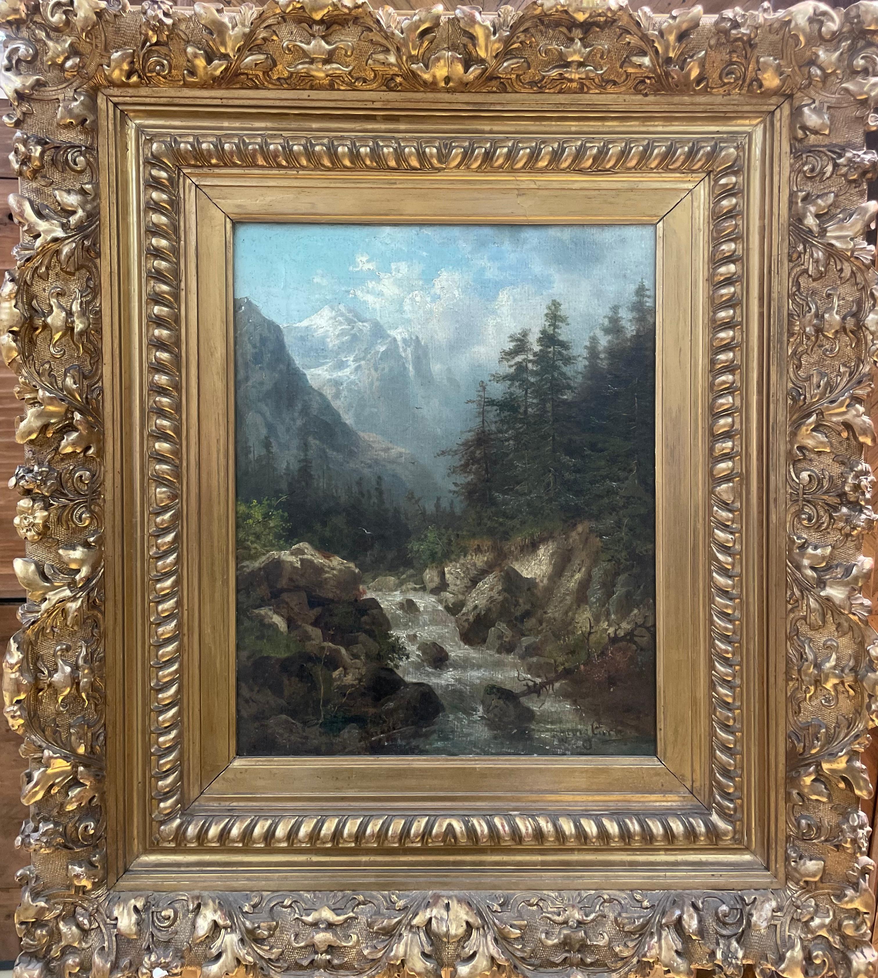"Paesaggio fluviale alpino"