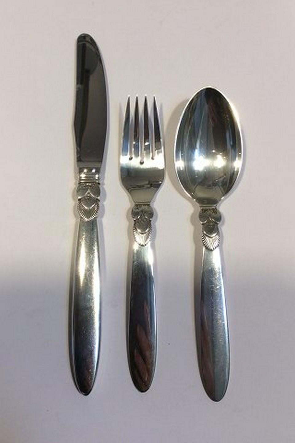 Georg Jensen cactus sterling silver dinner and lunch flatware set, 96 pieces.

The set consist of:

12 x dinner knifes 23 cm / 9 1/16