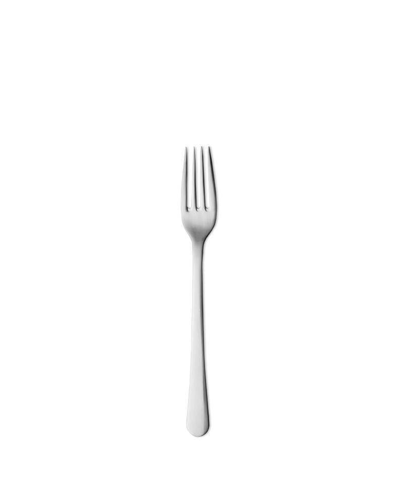Matte stainless steel dinner fork.